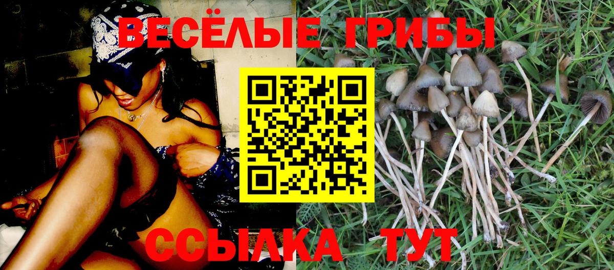 Жуковский  Галлюциногенные грибы ЛСД  Вход с VPN 